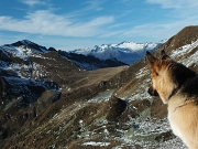 65 ed un'altra col Passo di Tartano, Cima Lemma  ed Alpi